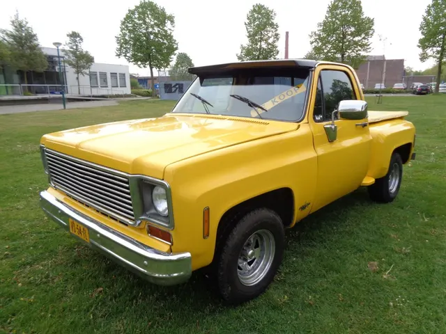 Chevrolet Silverado chevrolet c 10 a p k vrij belasting vrij 1974