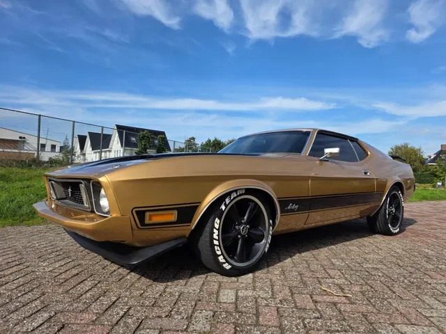 Ford Mustang mach1 1973