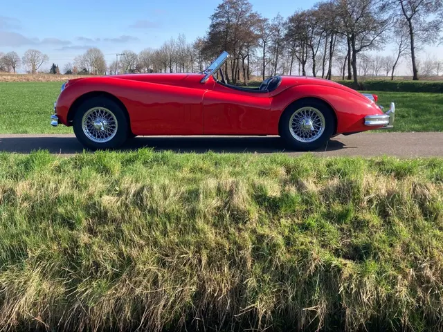 Jaguar XK 140 Roadster 1954