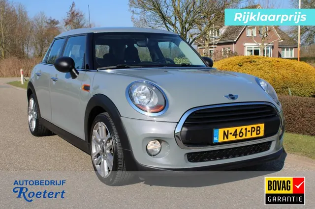 MINI One 1.5 165pk One First Salt 2016