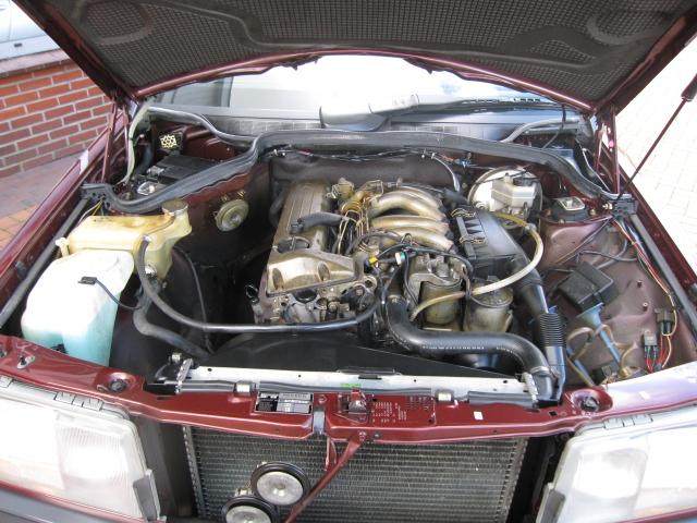 large_137585839104.jpg