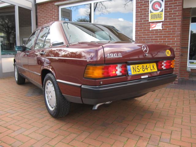 large_137585839106.jpg