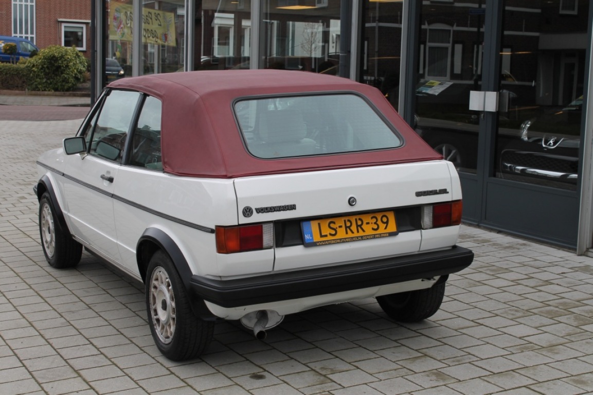 large_163845183414404.jpg