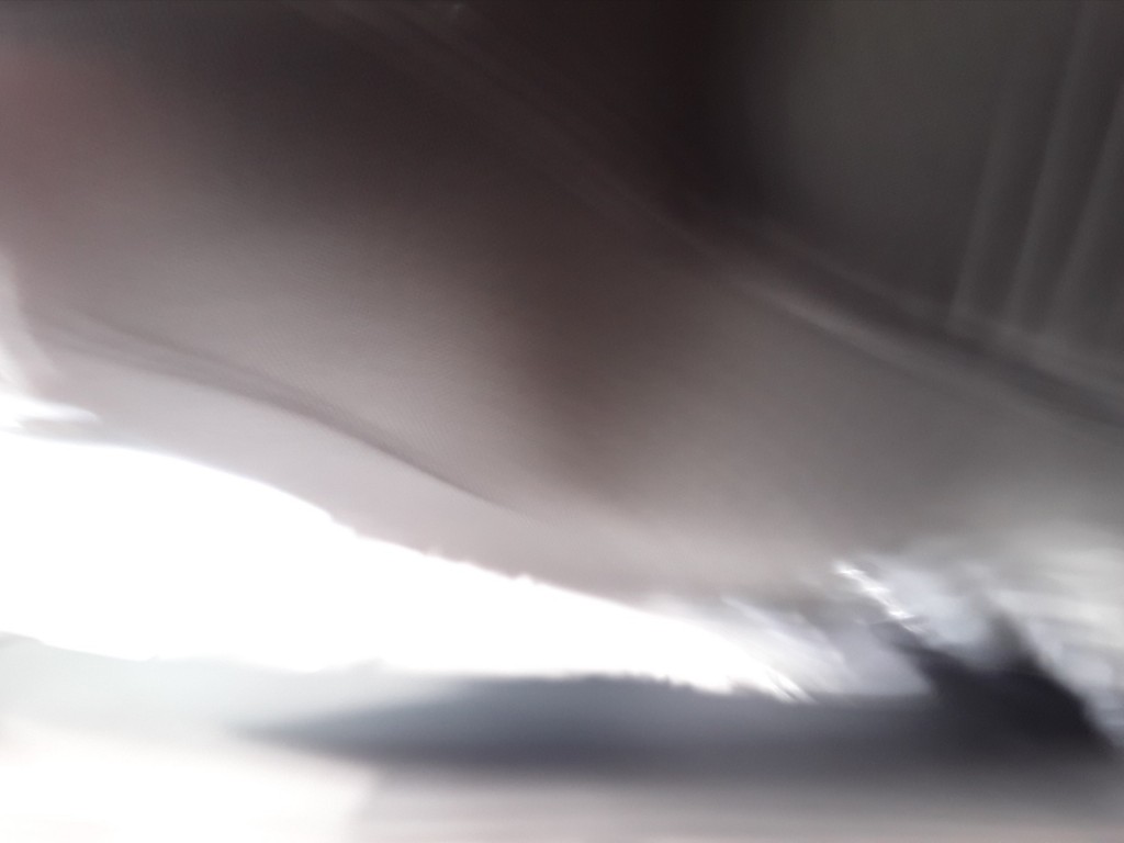 large_1659951756671996-1.jpg