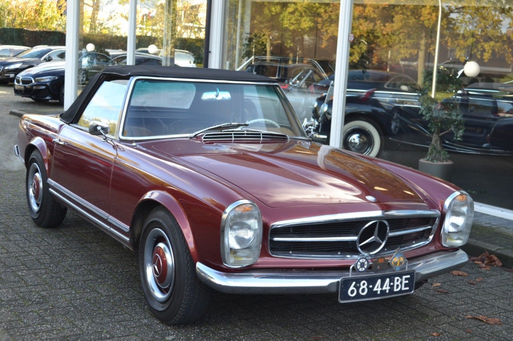 large_1668695674702567-1.jpg