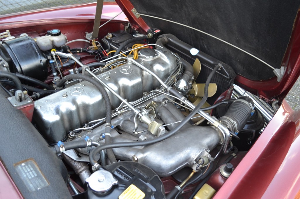 large_1668695674702870-1.jpg
