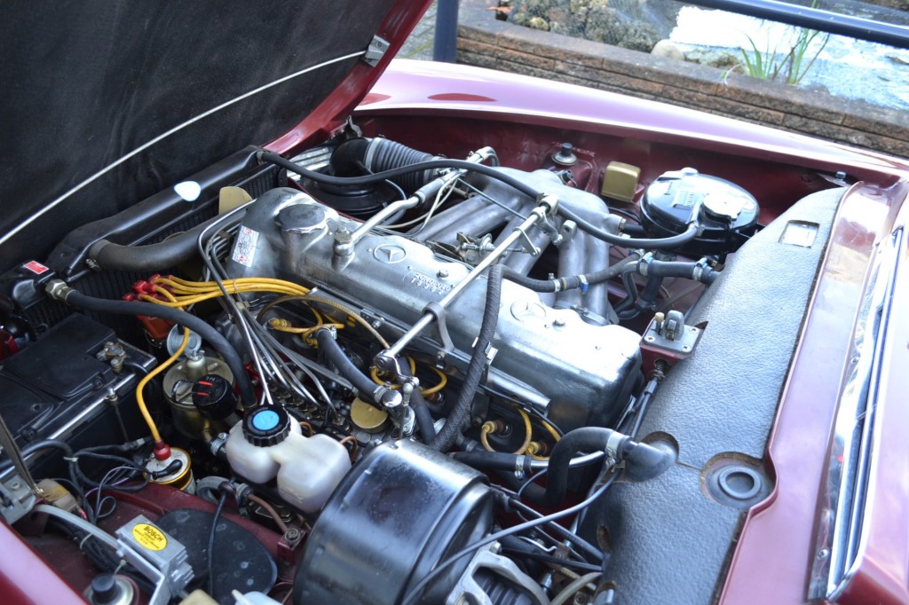 large_1668695674702945-1.jpg