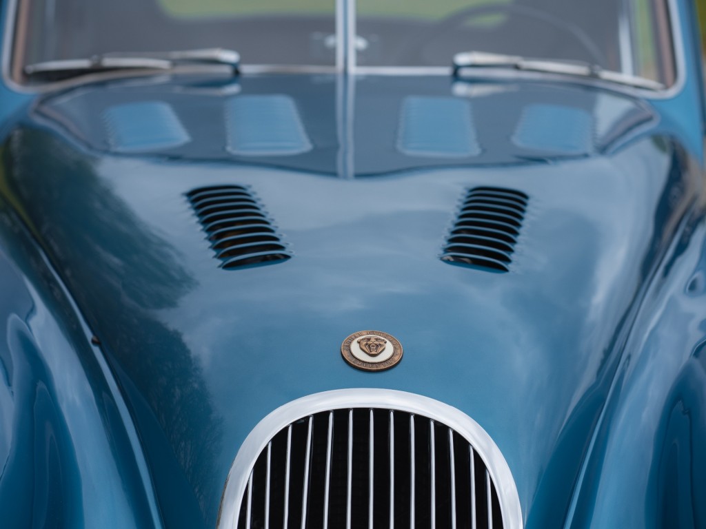 large_1675431244446515.jpg