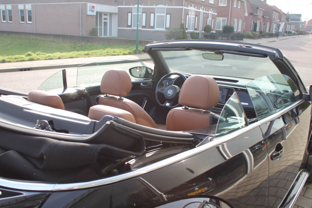 large_1676476136754744-1.jpg