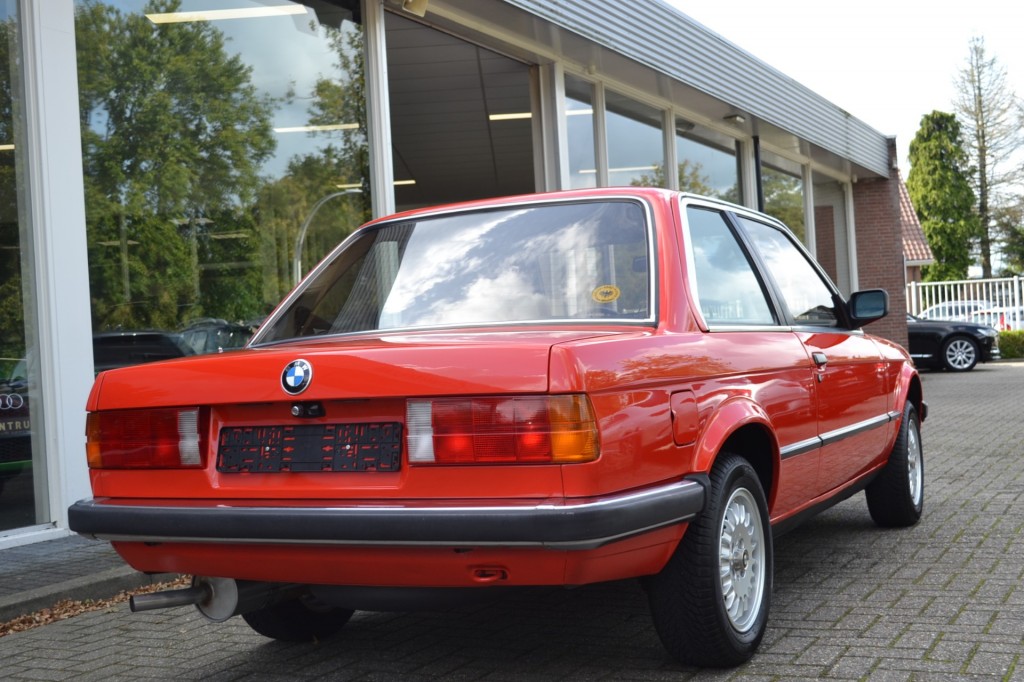 large_1696429462375013-1.jpg