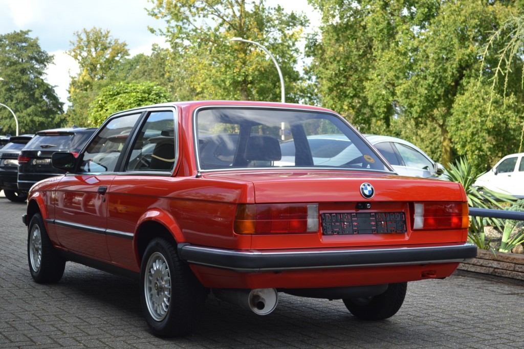 large_1696429462375207-1.jpg