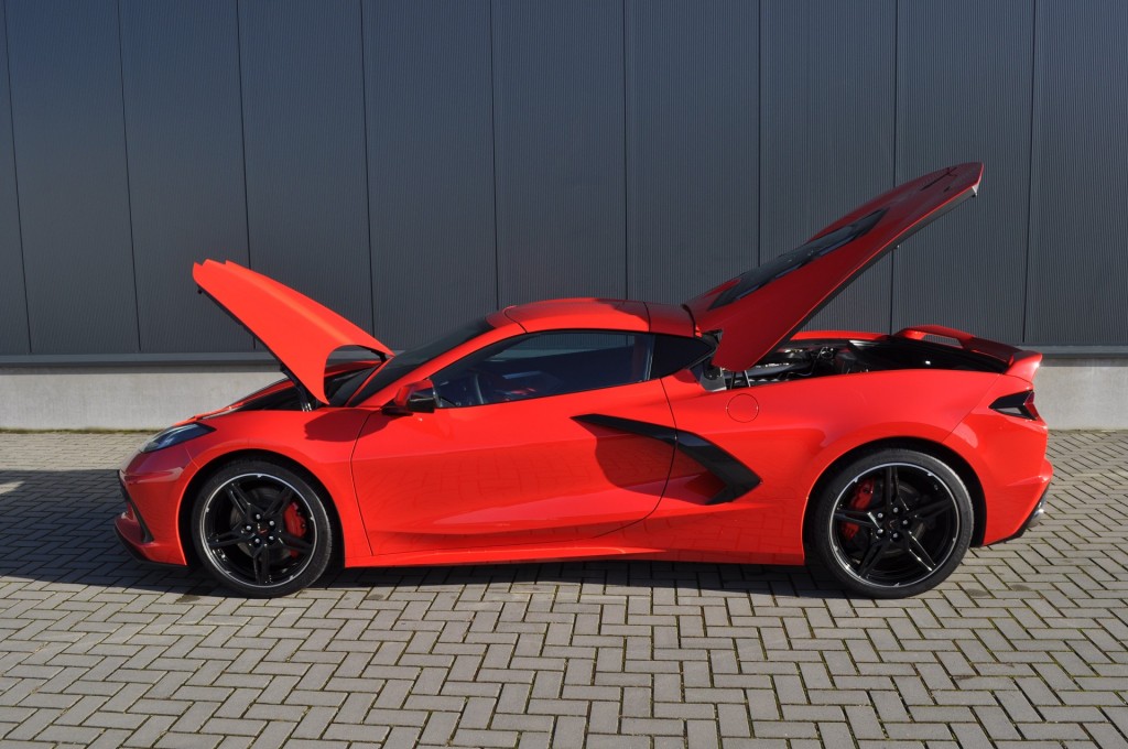 large_1706966666374474-1.jpg