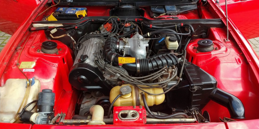 large_1711094602554614-1.jpg