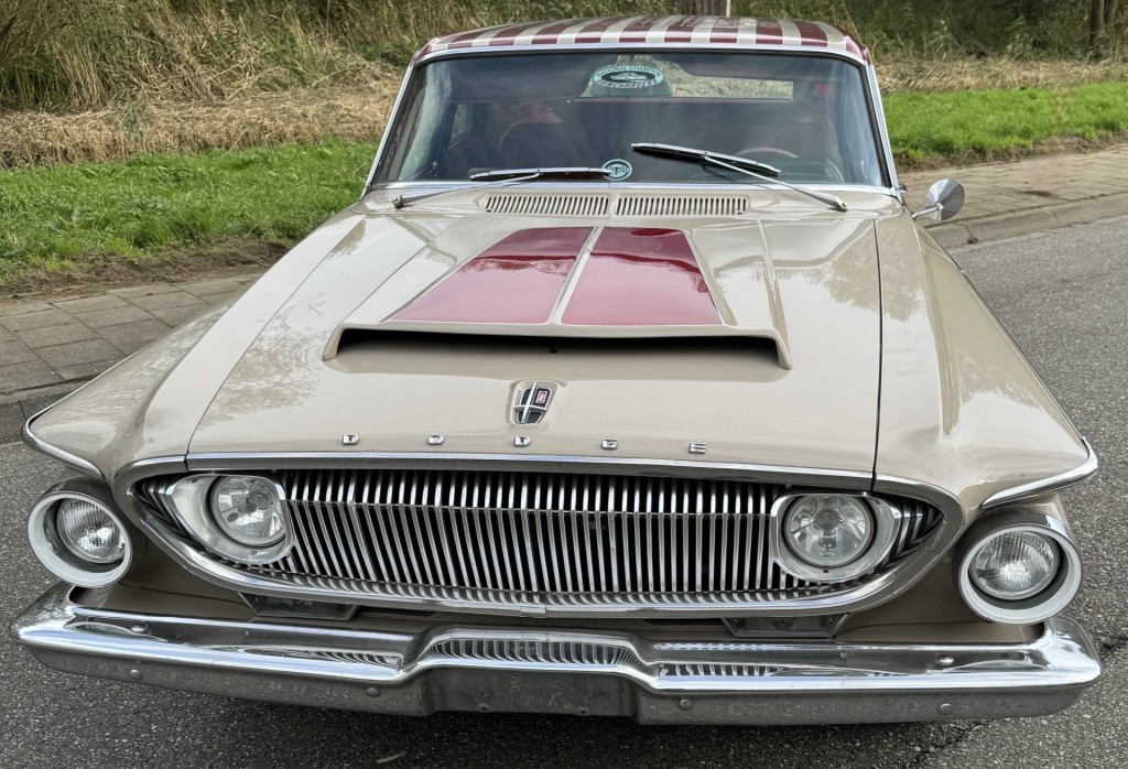 large_1733993066241672-1.jpg
