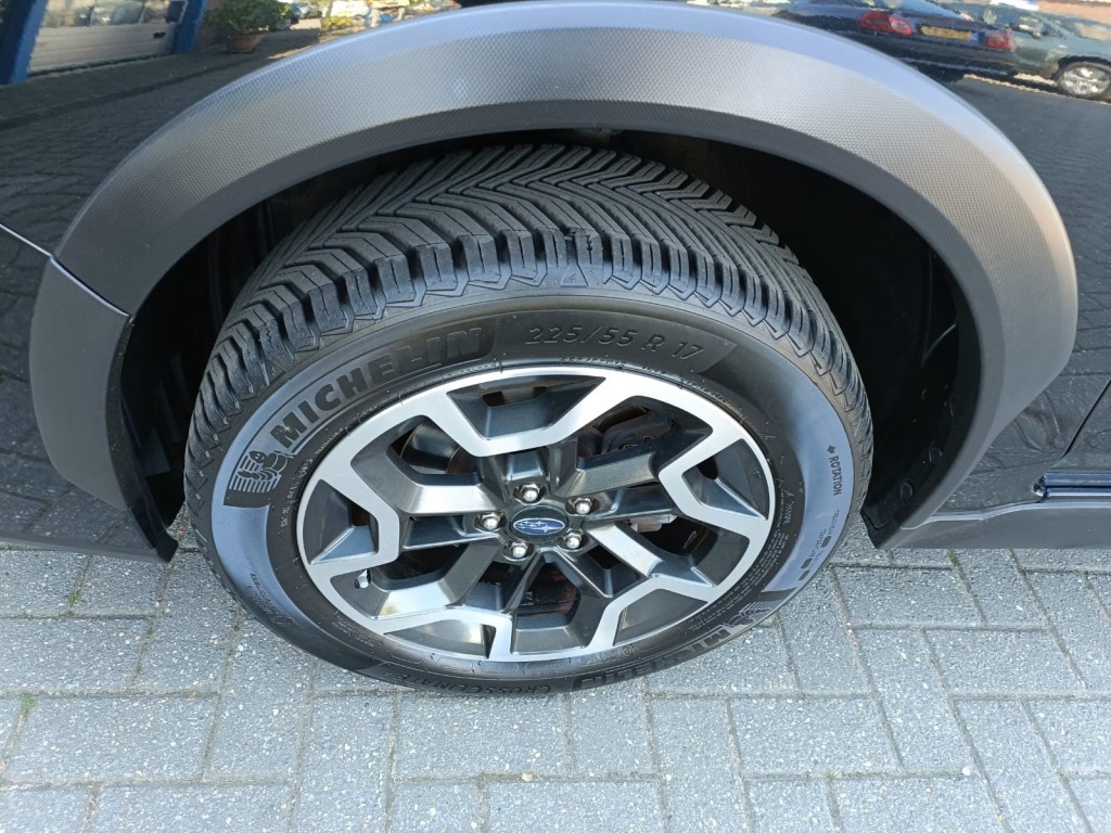 large_1744709558104828-1.jpg