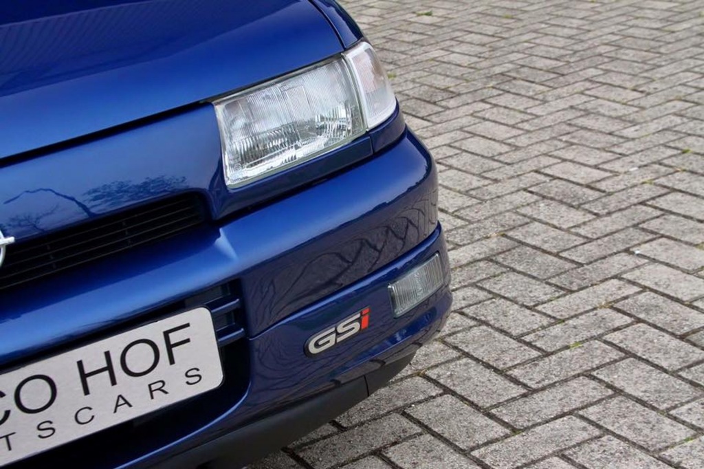 large_175823594957003-1.jpg
