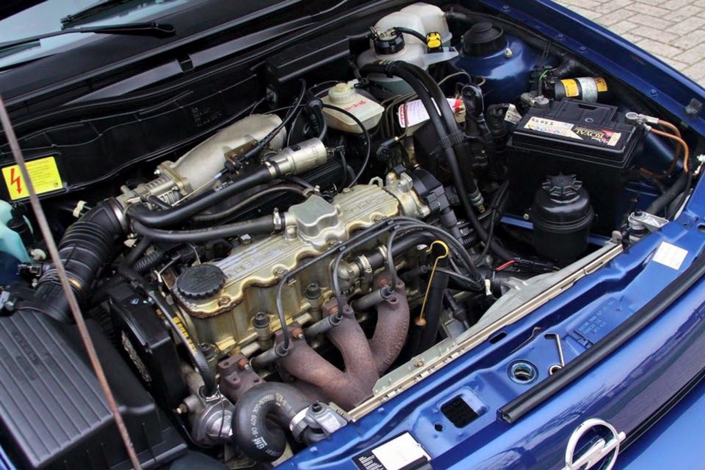 large_175823594957007-1.jpg