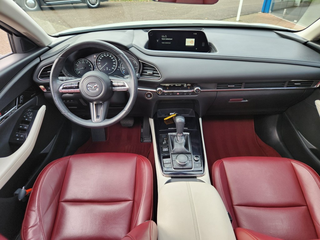 large_1762366593383318.jpg