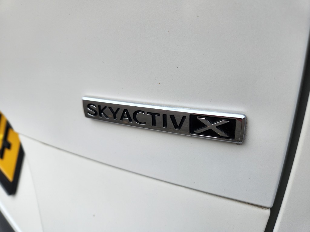 large_1762366593383439.jpg