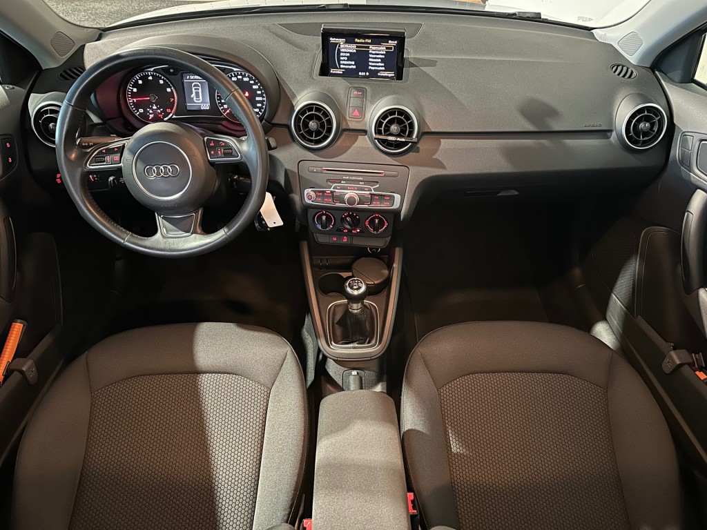 large_1768988293582910-1.jpg