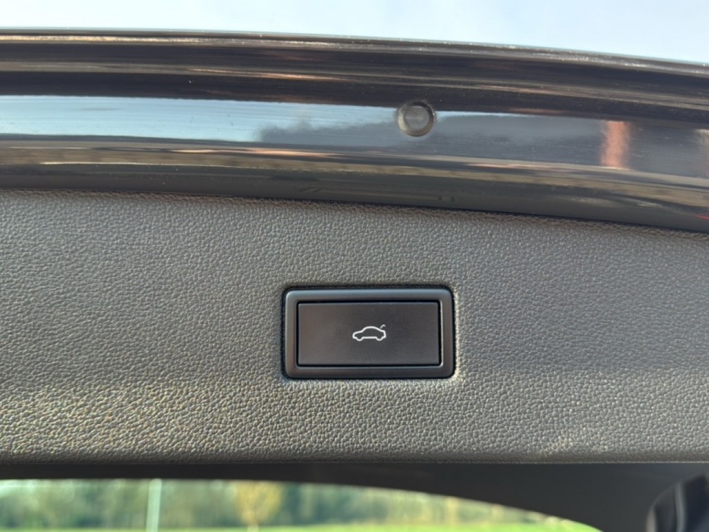 large_1769011048858488.jpg