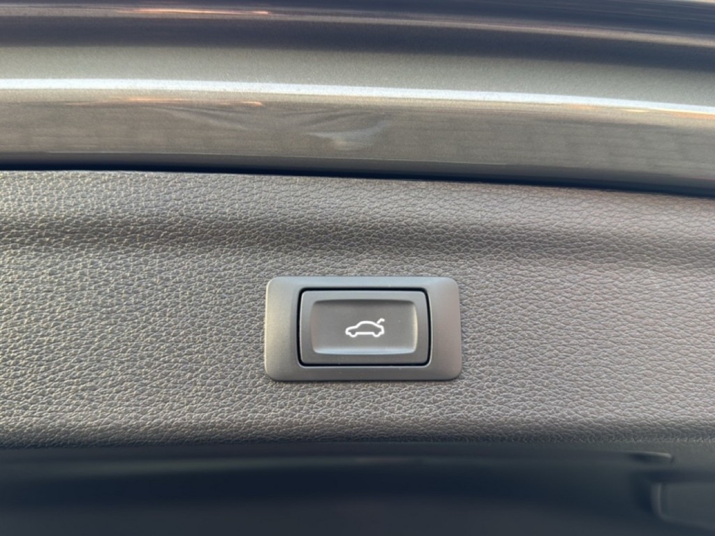 large_1769074056275435.jpg
